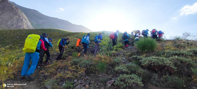 سرکچال‌ها 14030408 14