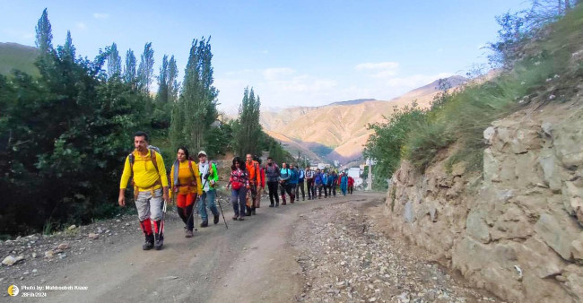 سرکچال‌ها 14030408 16