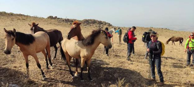 آسمان کوه 14030415 4