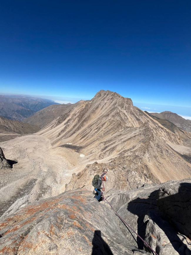 گرده آلمان‌ها 14030613 2