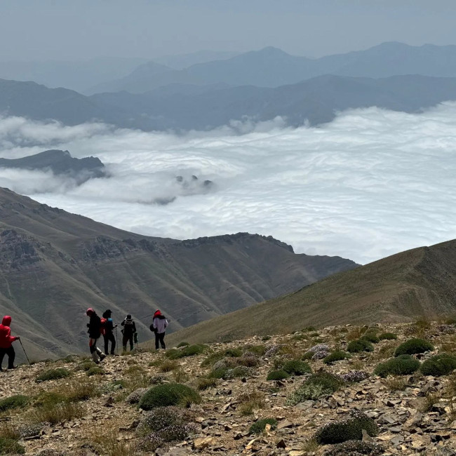 وره وشت 14030519 4