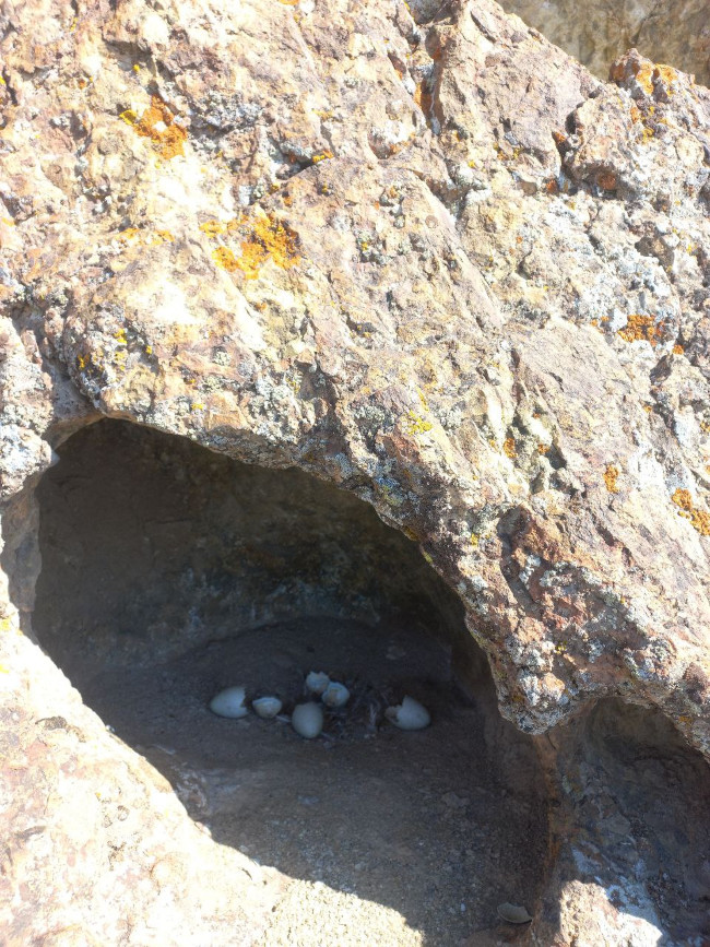 دیواره شروین مسیر آیدا 14030713 6