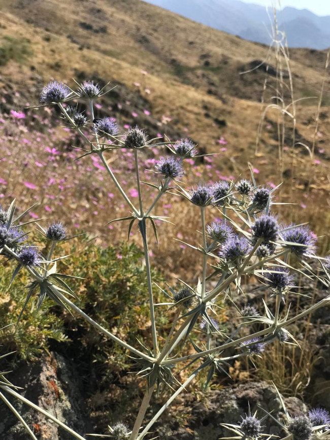 قله کله سنگ 14030505 11