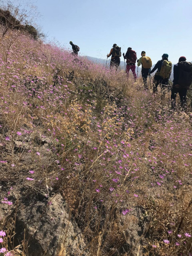 قله کله سنگ 14030505 14