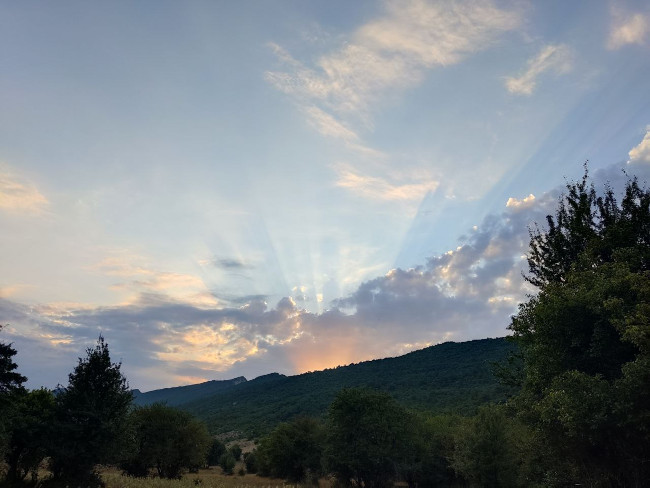 اوپرت 14030602 1