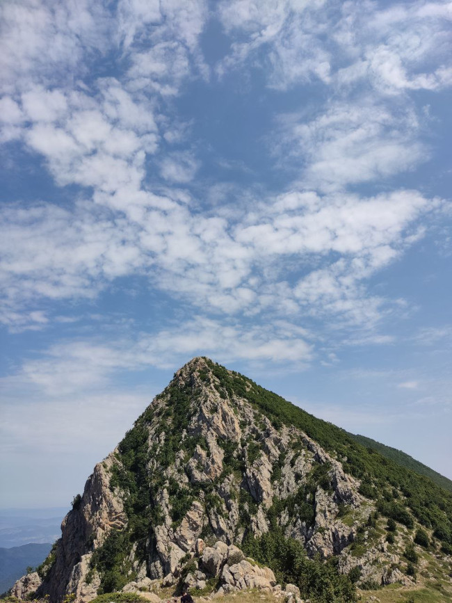 اوپرت 14030602 2