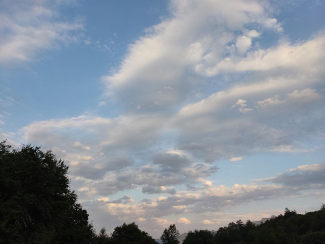 اوپرت 14030602 3