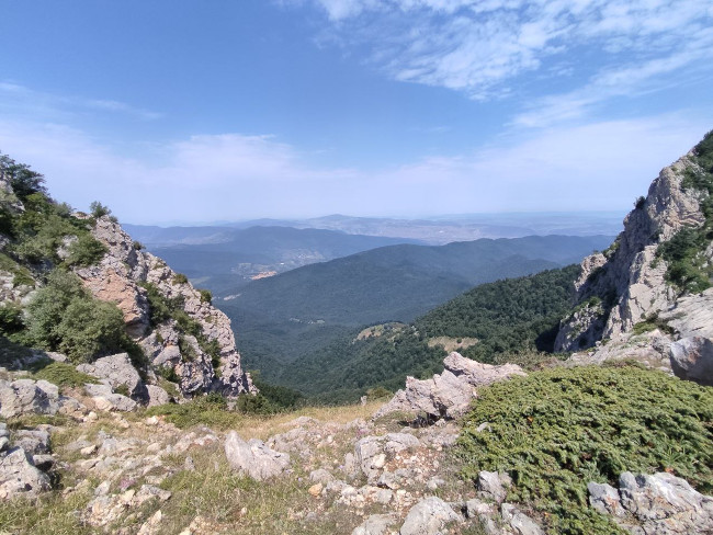 اوپرت 14030602 4