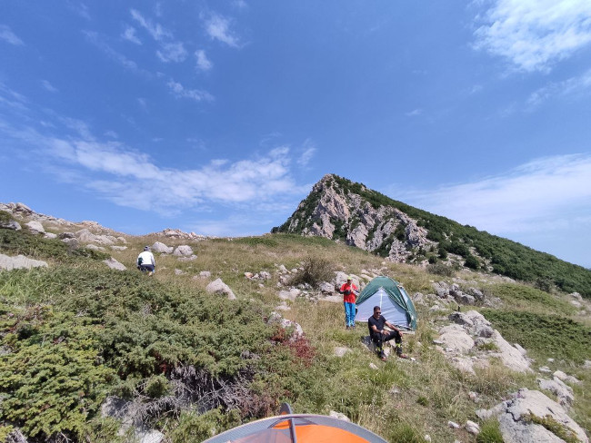 اوپرت 14030602 5