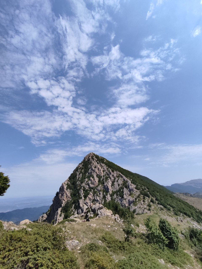 اوپرت 14030602 7