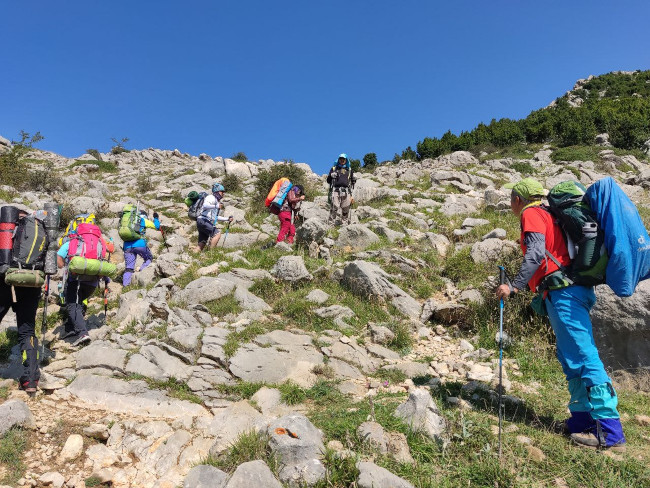 اوپرت 14030602 8