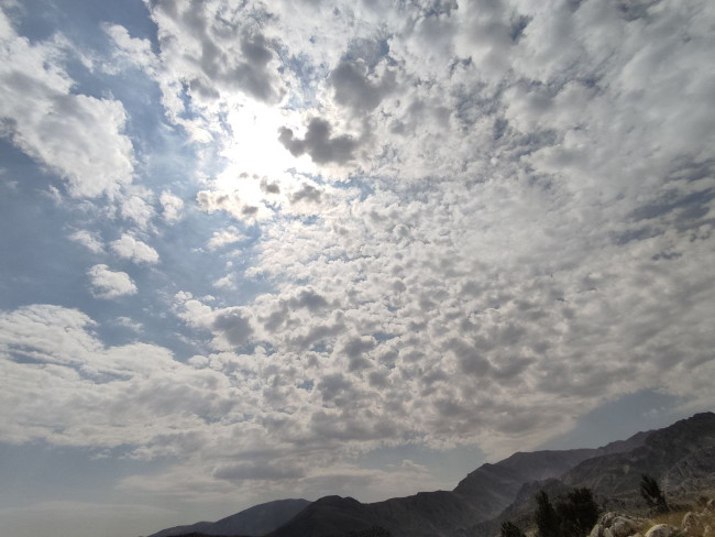 اوپرت 14030602 9