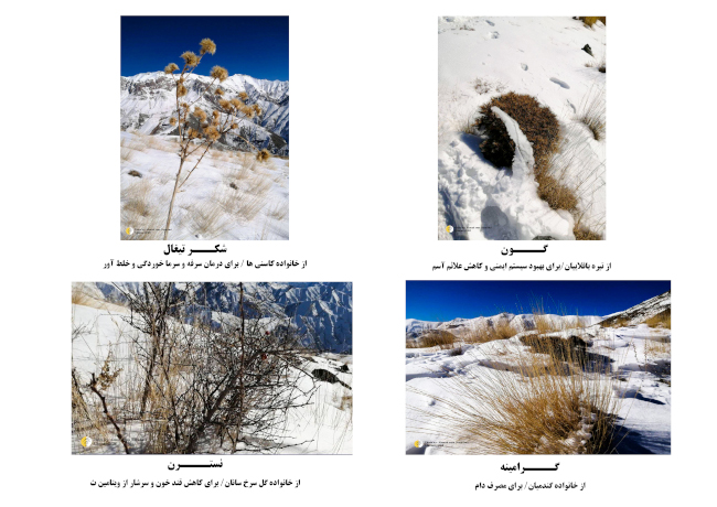 قله کهار - 14031007 23