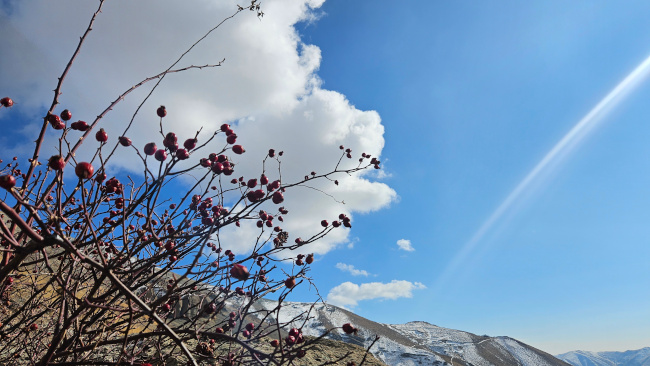 قله نوا کوه 14031028 10