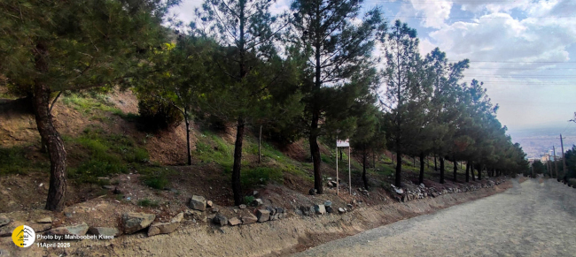 صعود به قله بیجی-14031217 6