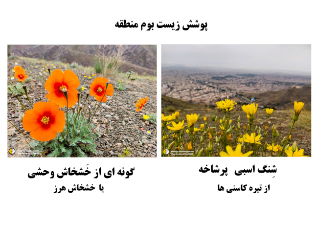 صعود به قله بیجی-14031217 26