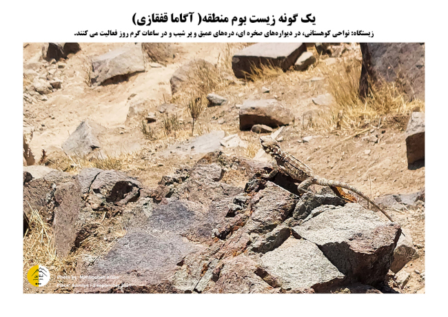 صعود به قله بیجی-14031217 28