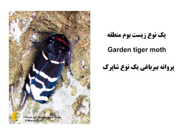 صعود به قله بیجی-14031217 29