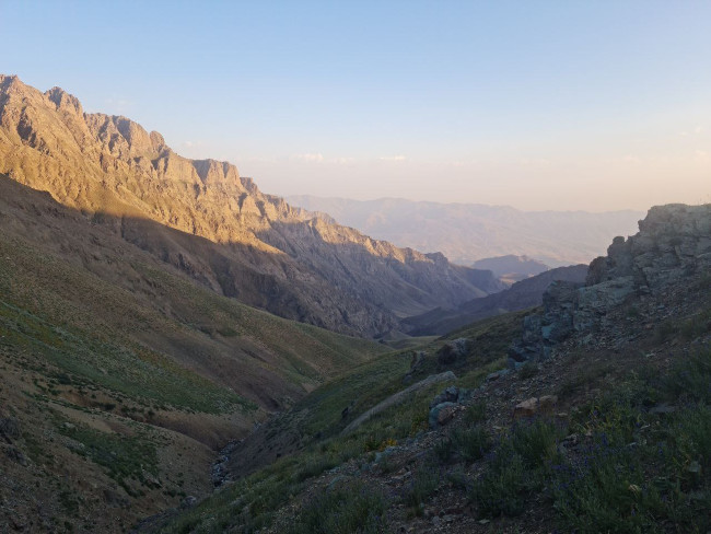 خط الراس سپید قطور به سات 14040426 1