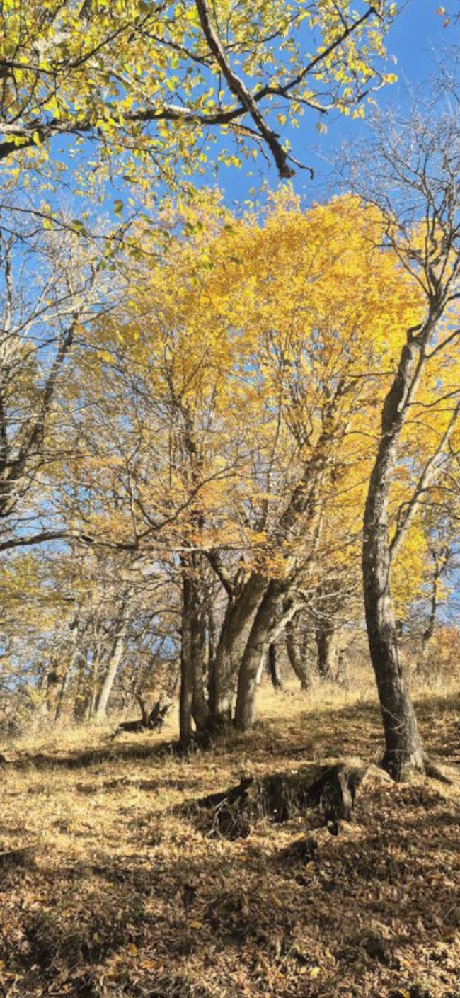 قله وره وشت14040815 2