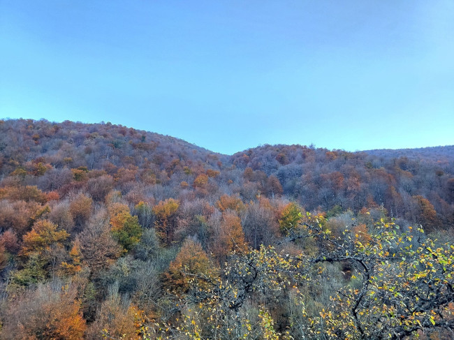 قله وره وشت14040815 7