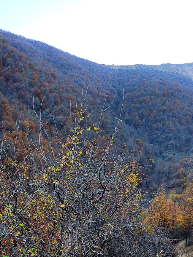 قله وره وشت14040815 8